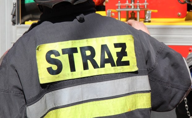 Pożar składowiska palet w Łaziskach Górnych. Runął dach magazynu