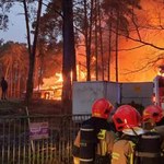 Pożar stadniny koni na warszawskiej Białołęce. W środku były zwierzęta