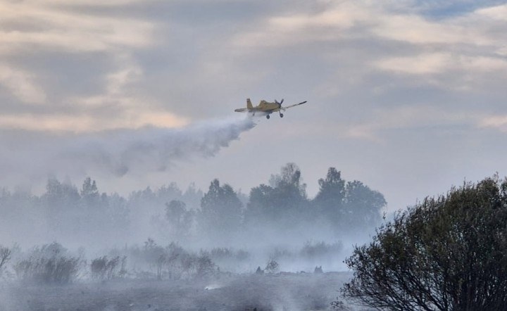 Pożar starorzecza Sanu /OSP /