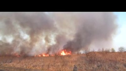 Pożar traw na krakowskim Ruczaju
