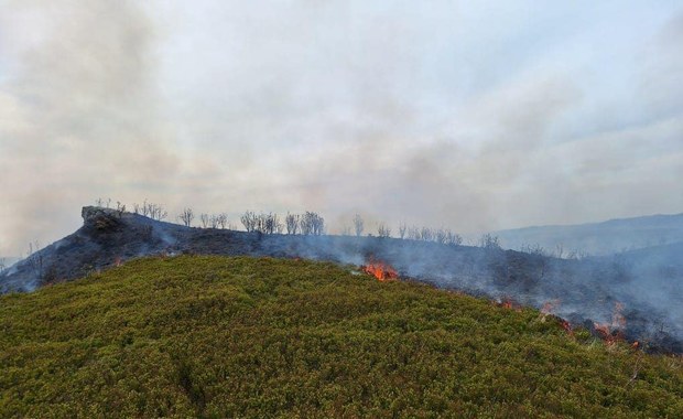 Pożar traw na terenie Bieszczadzkiego Parku Narodowego