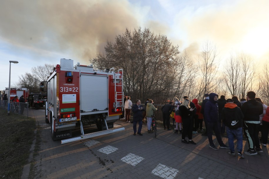 Pożar traw przy Wale Miedzeszyńskim na wysokości ulicy Bronowskiej w Warszawie / 	Paweł Supernak   /PAP