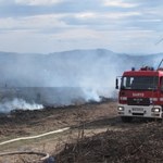 Pożar traw w Krakowie. Ogień zagrażał domom w Bronowicach