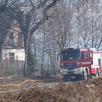 Pożar nieużytków w krakowskich Bronowicach 