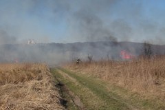 Pożar traw w okolicach Tyńca