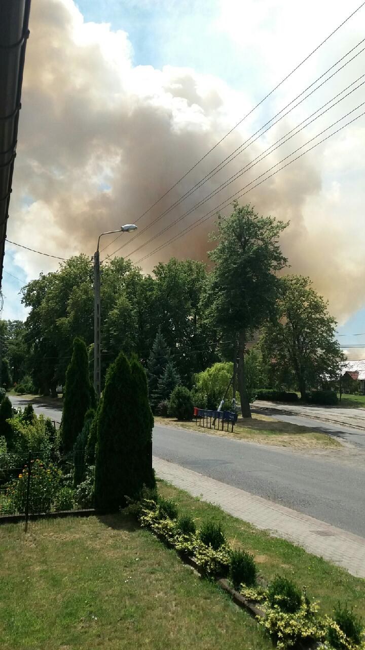Pożar upraw, zdj. z Gorącej Linii RMF FM /Gorąca Linia RMF FM