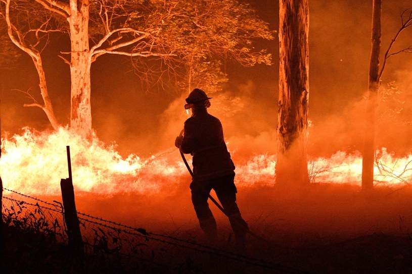 Pożar w Australii /SAEED KHAN /AFP