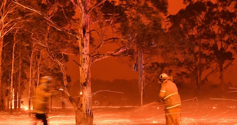 Pożar w Australii /AFP/INTERIA.PL