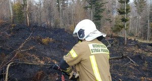 Pożar w Beskidach. Trudna akcja na zboczach góry