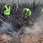 Pożar w Biebrzańskim Parku Narodowym. Dyrektor wyznaczył nagrodę za wskazanie podpalacza