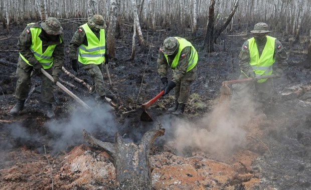 Pożar w Biebrzańskim Parku Narodowym. Dyrektor wyznaczył nagrodę za wskazanie podpalacza