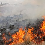 Pożar w Biebrzańskim Parku Narodowym. Jest apel o wsparcie ratowania dzikiej przyrody