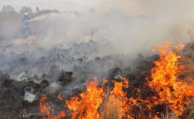 Pożar w Biebrzańskim Parku Narodowym. Jest apel o wsparcie ratowania dzikiej przyrody
