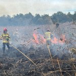 Pożar w Biebrzańskim Parku Narodowym. Na miejscu 17 zastępów straży