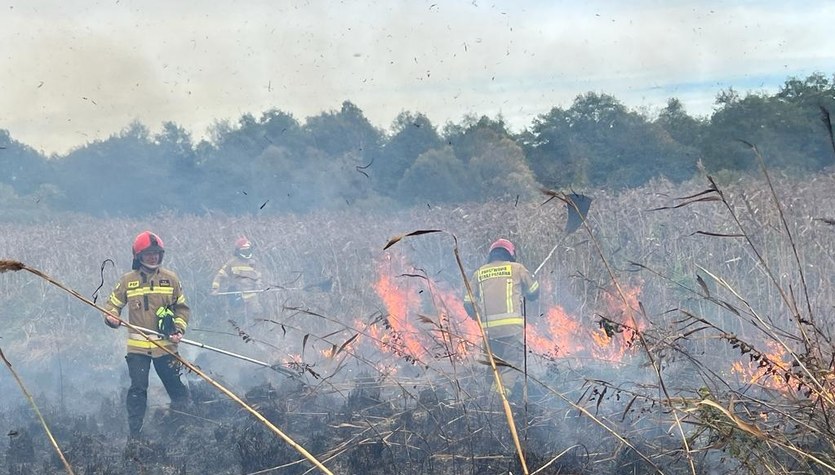 Pożar w Biebrzańskim Parku Narodowym. Na miejscu 17 zastępów straży