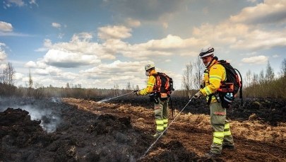 Pożar w Biebrzańskim Parku Narodowym. Prokuratura szuka przyczyn
