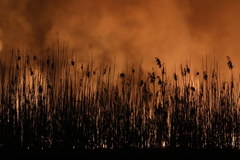 Pożar w Biebrzańskim Parku Narodowym. Strażacy wciąż walczą z ogniem