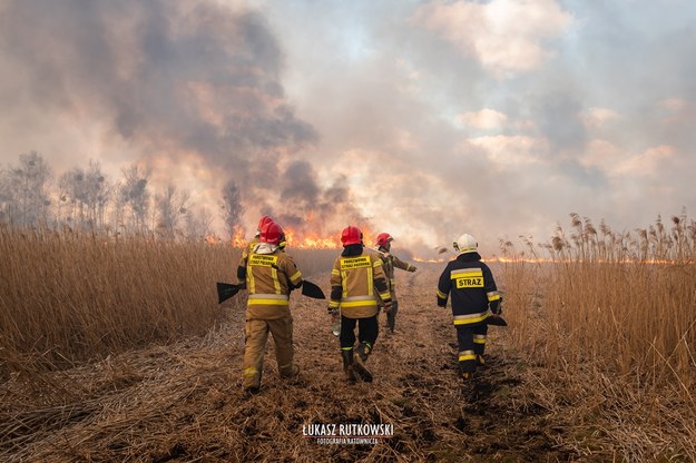 Pożar w Biebrzańskim Parku Narodowym /Łukasz Rutkowski-Fotografia /