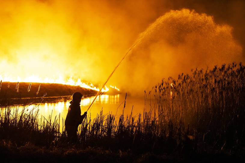 Pożar w Biebrzańskim Parku Narodowym /	Michal Kosc / FORUM   /Agencja FORUM