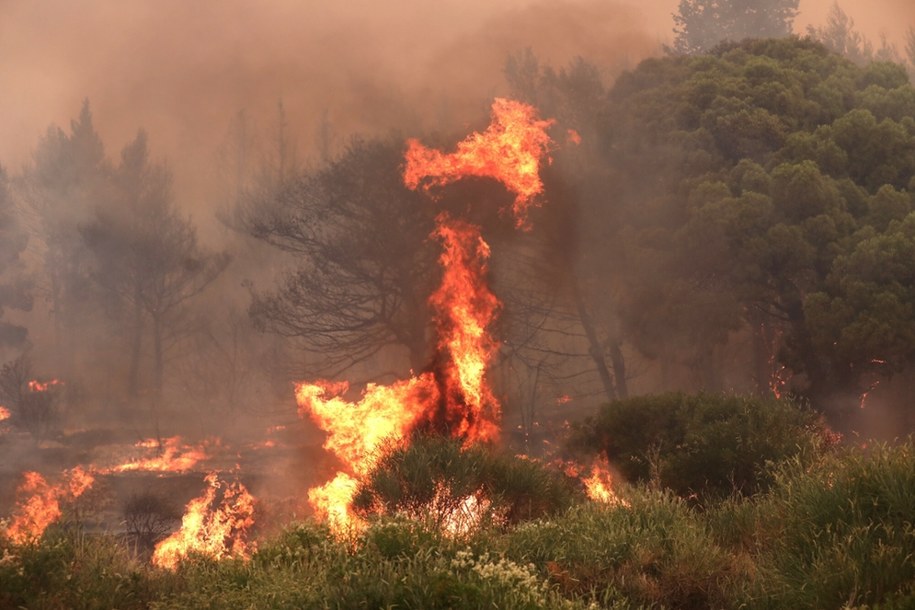 Pożar w Chorwacji, 21.06.2025 /Ivo Cagalj/PIXSELL/Press Association/East News /East News
