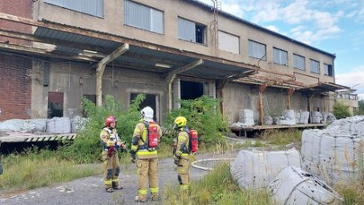 ​Pożar w dawnej cukrowni. Kłęby dymu widoczne z kilkunastu kilometrów