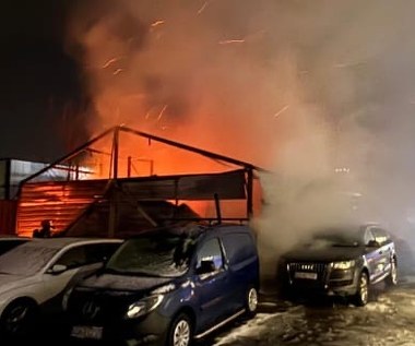 Pożar w Gdańsku: Hala stanęła w płomieniach