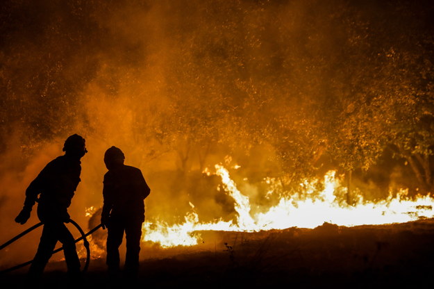 Pożar w gminie Ourém w środkowej Portugalii /PAULO CUNHA /PAP/EPA