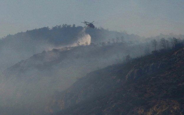 Pożar w Grecji /ORESTIS PANAGIOTOU /PAP/EPA