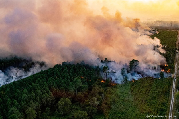 Pożar w Landiras /SDIS 33 HANDOUT /PAP/EPA