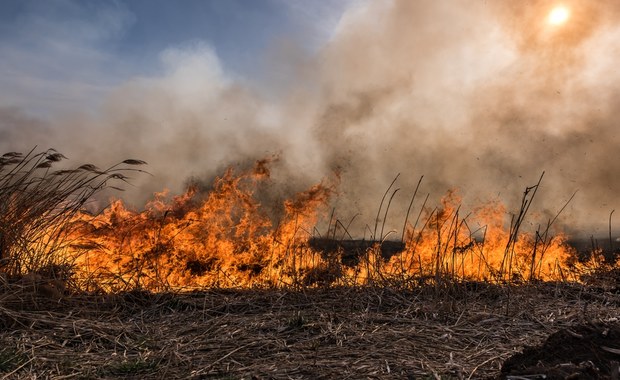 Pożar w Małopolsce. Spłonęło pół hektara traw