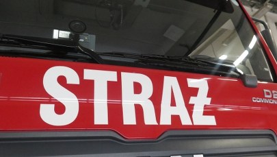 Pożar w miejscowości Niedźwiedź. W płomieniach stanęło wysypisko