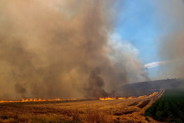 Pożar w miejscowości Velestino /IKONOMOU VASSILIS /PAP/EPA