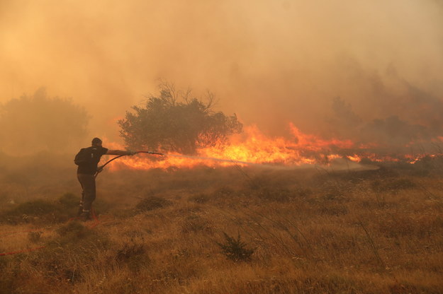 Pożar w okolicach Aten /George Vitsaras /PAP/EPA