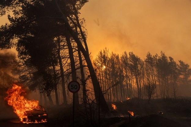 Pożar w okolicy greckiego Warnawas. 12.08.2024 r. /Marios Lolos/Xinhua News/East News /East News