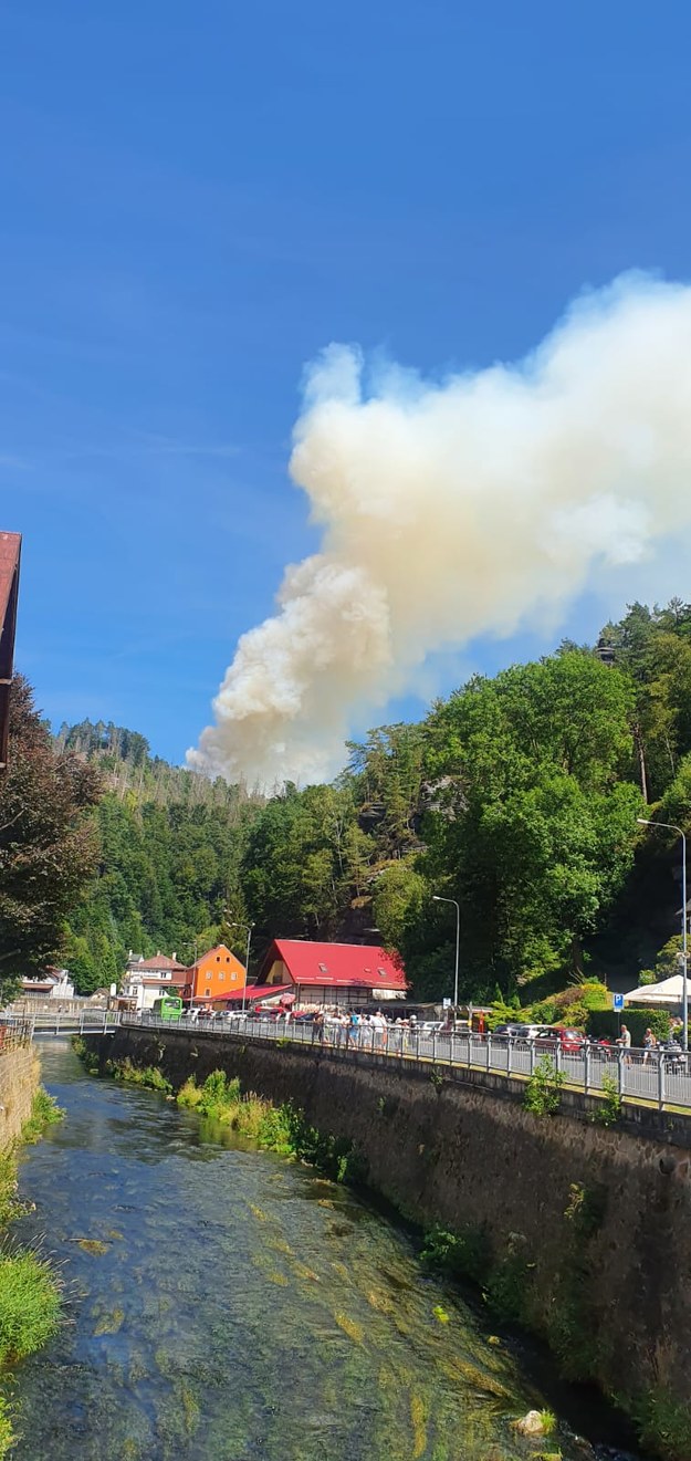Pożar w Parku Narodowym Czeska Szwajcaria /Bartosz Styrna /RMF FM