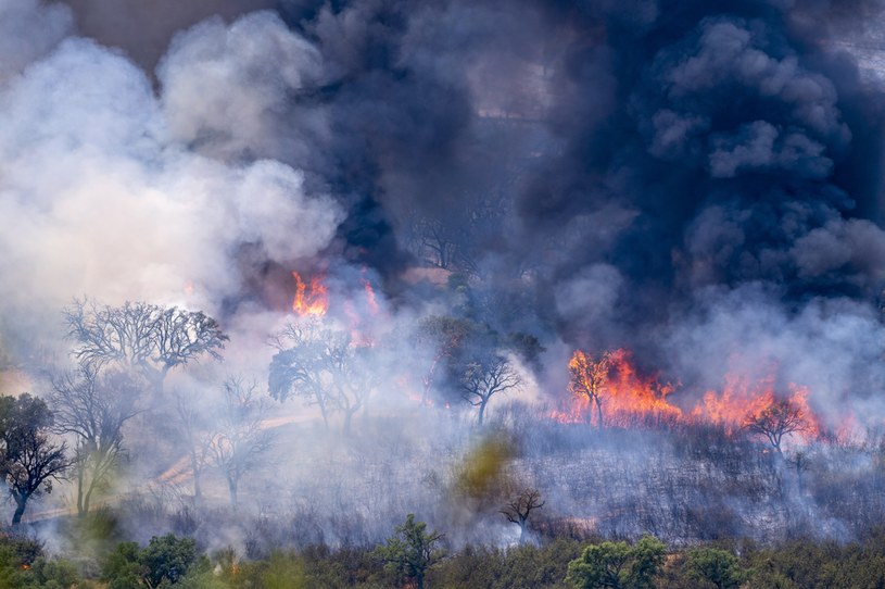 Pożar w Parku Narodowym Monfrague w Caceres w Hiszpanii. Spłonęło 3 tys. hektarów, z powodu zagrożenia zamknięte zostały drogi i autostrady w pobliżu /PAP/EPA/ISMAEL HERRERO /PAP/EPA