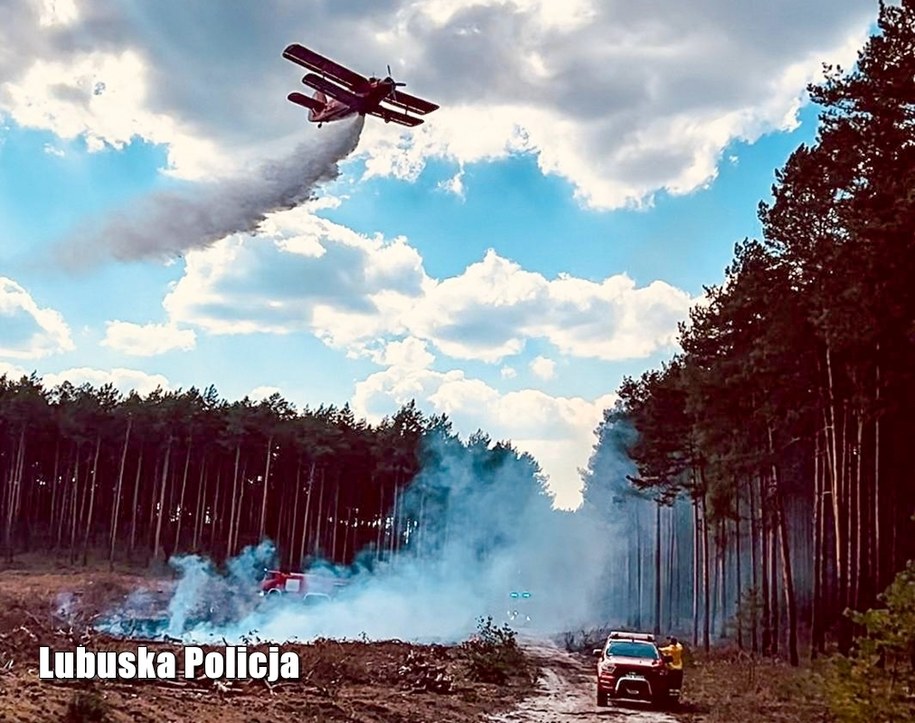 Pożar w pobliżu miejscowości Chełm Żarski /Policja Lubuska /