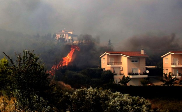 Pożar w pobliżu miejscowości Lamia w Grecji /ARIS MARTAKOS /PAP/EPA