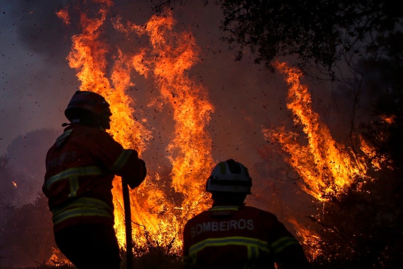 Pożar w Portugalii (arch.) /AFP