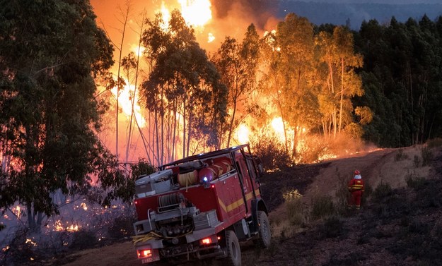 Pożar w prowincji Huelva /David Arjona /PAP/EPA