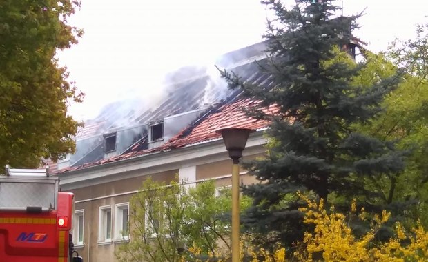 Pożar w przedszkolu w Poznaniu. Ewakuowano ponad 30 dzieci