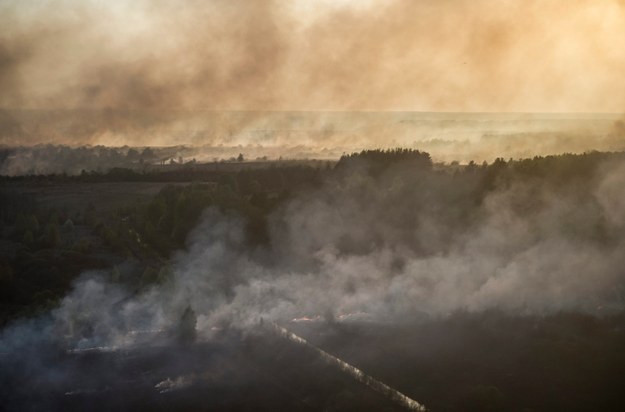 Pożar w Puszczy Czarnobylskiej /Andrew Kravchenko /PAP/EPA