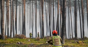 Pożar w Puszczy Solskiej na Lubelszczyźnie już się nie rozprzestrzenia
