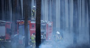Pożar w Puszczy Solskiej na Lubelszczyźnie już się nie rozprzestrzenia