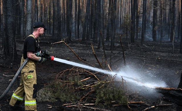 Pożar w Puszczy Solskiej. Sytuacja poprawia się, ale deszcz nie wystarczył 