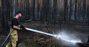 Pożar w Puszczy Solskiej. Sytuacja poprawia się, ale deszcz nie wystarczył 