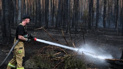 Pożar w Puszczy Solskiej. Sytuacja poprawia się, ale deszcz nie wystarczył 