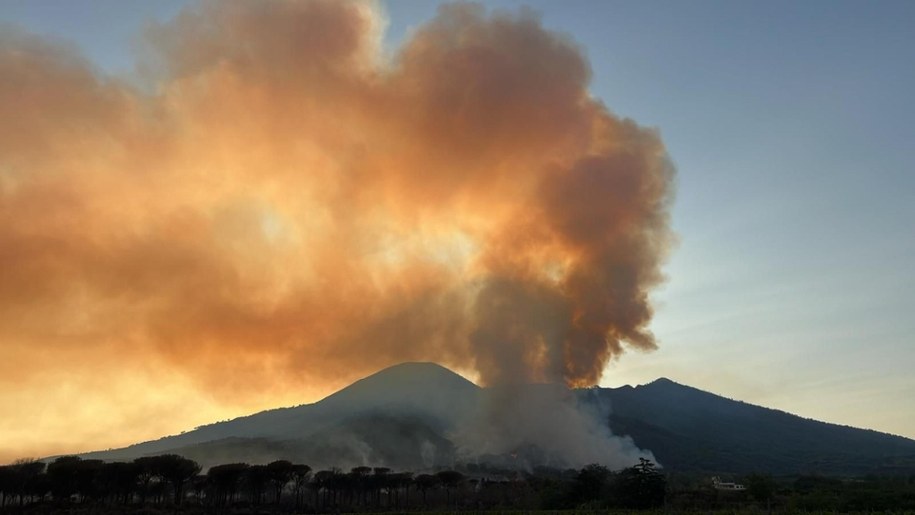 Pożar w rejonie Wezuwiusza /CESARE ABBATE /PAP/EPA