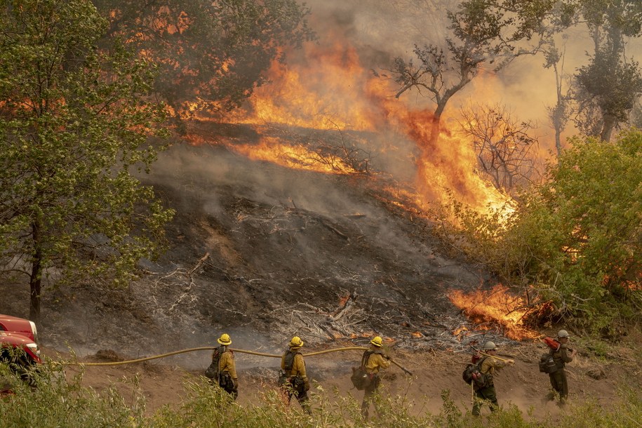 Pożar w San Bernardino National Forest /AFP PHOTO / Kyle Grillot /PAP/EPA