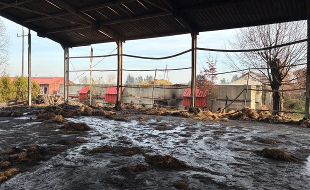 Pożar w stadninie koni pod Krakowem. Sprawcami dwaj 14-latkowie?